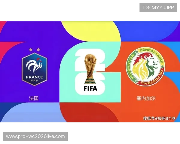 世界杯法国对阵塞内加尔比赛实时比分及赛况分析,深度解读比赛走势与关键战术变化